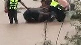 水位暴涨：湖北6位村民被困孤岛 救援队冒险涉水成功营救