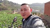 川菜师傅一个人逛女装店，害羞得脸都红了，这到底要干什么呢