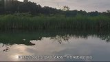 恐怖“杀人湖”，一夜夺走近2000人性命，如今专家找出真凶！