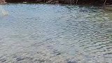 家乡小河，好山好水好风景