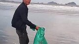 男子在海边放生鸿雁，网友见状议论纷纷