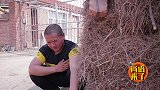 二货碰瓷遇见女汉子，结果钱没讹着还被打了一顿，太逗了