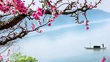 两岸桃花春色里，一叶扁舟画中游