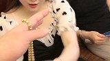 所有人都挺快乐我老丈估计不太快乐了！