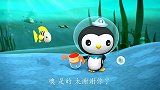 海底小纵队：皮医生在魔鬼鱼吃掉鱼卵之前找到了它