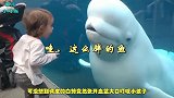 小女孩第一次见到白鲸，白鲸竟这样吓唬小孩子，逗得妈妈大笑不止