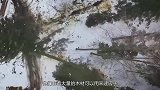 为何美国人宁愿让房子倒塌，也不愿用水泥盖房？看完终于明白了！
