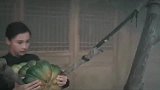 这南瓜的演技，都比强