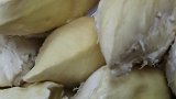 花200元买个超大金枕榴莲！油炸榴莲你吃过吗？