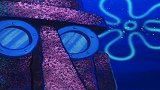 海绵宝宝：海绵宝宝怕是吃错药了，一天到晚的傻笑呢