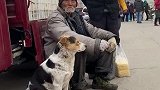 带着狗狗赶集，为凑热闹