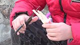大彭做“虎皮鸡爪”第一次做这个菜，口感糯糯的，家人都爱吃