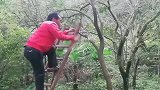 不是亲眼所见谁信，大哥这智商真的是没谁了！