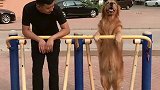 经过一个夏天的洗礼，小黑斌和轮胎的颜色更加接近了