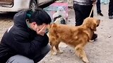 小伙生活所迫，把狗狗卖给别人，狗狗依依不舍的样子太伤心！