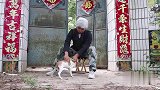 俩妯娌互抢“传家宝”，被老公爹出题套路，结局太逗了