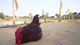 这只公鸡太能霍霍人了