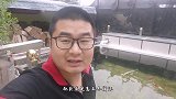小帅家鱼池为啥越来越清澈？听他细说循环过滤系统，奥利给
