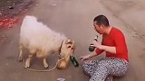 兄弟感情深，一瓶干！