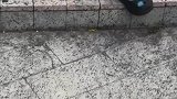哥们你熬鹰呢？