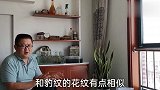 余月的杂袍孔雀鱼好漂亮呀！到底是什么和什么的后代？你知道吗？