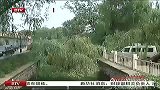 北京暴雨致全市361棵大树被刮倒 仅什刹海就有近百棵