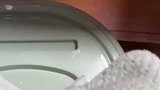这日子是不是过反了