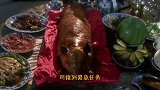 水手在荒岛丢下6只猪仔，12年后再回来，瞬间懵了