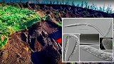 冰冻了2.4万年的生物被复活，并无性繁殖，人类能否效仿？真的不能再拖了  3M乐享生活