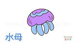 动物简笔画大全，画漂亮的水母简笔画