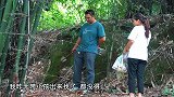 包立春在树林发现一堆野生菌，搭配肉片一起煮，汤鲜味美，吃爽了