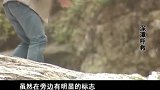 游客去景点游玩，怎料一个不小心，整个人掉入深潭中