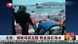 北欧：捕鲸场面血腥 鲜血染红海水-11月26日