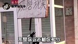 好家伙！这造型挺别致啊！
