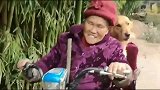 金毛跟奶奶去赶集，看它坐在专属座位上笑呵呵的，眼神却亮了