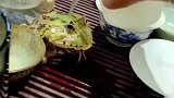 全新全自动茶宠它怎么没有变色，算不算温水煮青蛙