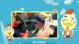 大咖笑料-20160519- 掰弯了！泰国男男如何秀恩爱