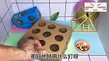 仓鼠版“极限挑战”，你能达到第几关