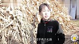 小伙相亲遇上美女吹牛,满满的套路,最后结局太搞笑了