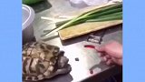 拿豆包不当干粮，我跟你拼了！