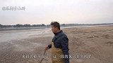 黄河一退水小胖就来赶河，用神秘方法找甲鱼太管用了，连着找两只