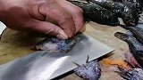 刀功师傅快刀解体虎头鲨，这手法算是干净利落，网友有点惨无人道