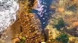 鱼儿逆流而上，你细细品