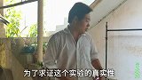 这才是泥鳅钻豆腐的真相，过程及其残酷，终于是真相大白了