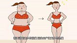 为什么胖的人比瘦的人怕热