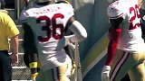 NFL-1516赛季-匹兹堡钢人外接手布朗赛季十佳球-专题