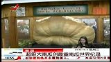 美国：超级大南瓜创最重南瓜世界纪录