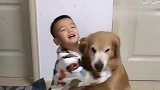 主人给金毛和小主人拍照，金毛上去就抱着小主人，画面太有爱了