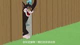 新猫和老鼠：汤姆不愧是网红猫，拍个视频3秒突破25万播放量