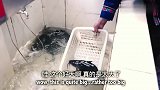 老外在中国：中国餐厅吃鱼竟可以选活鱼？太鲜美了！